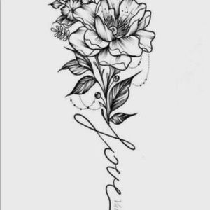 Meet your Posher, Donecia